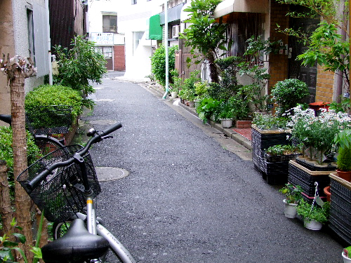 「亀有 寿司なかやのおまかせ握り」_a0000029_2319406.jpg