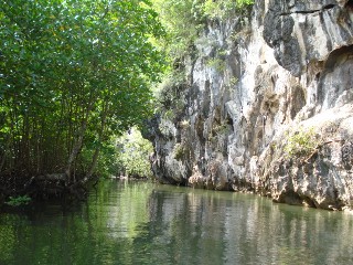 f0001835_12582675.jpg