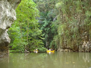 f0001835_12584528.jpg