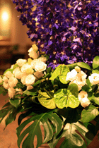 f0134642_04745.gif