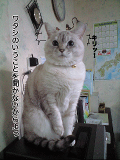 f0116546_19218.gif