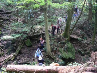甲州古道をご案内。_f0019247_1454539.jpg