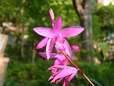 e0073762_23362189.jpg
