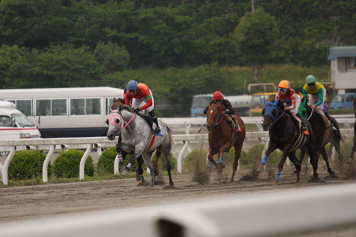 2008年5月18日（日） 高知競馬 7R_a0077663_20363382.jpg