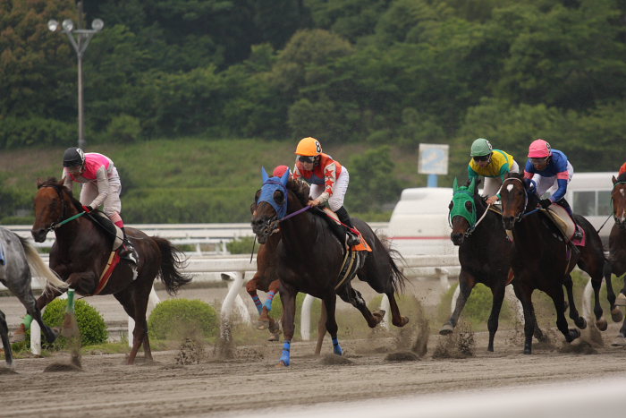 2008年5月18日（日） 高知競馬 7R_a0077663_20364257.jpg