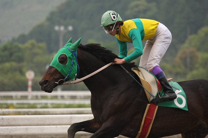 2008年5月18日（日） 高知競馬 7R_a0077663_2036497.jpg