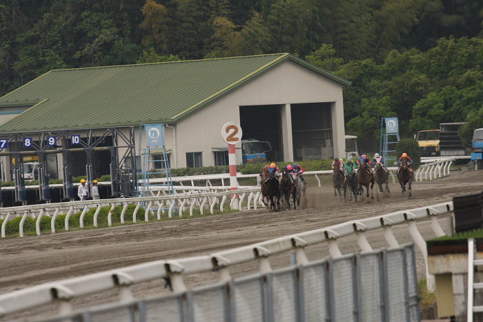 2008年5月18日（日） 高知競馬 7R_a0077663_203657100.jpg