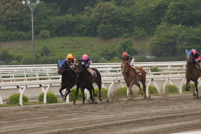 2008年5月18日（日） 高知競馬 7R_a0077663_2037768.jpg