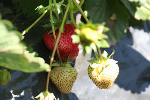 f0017363_1473841.jpg