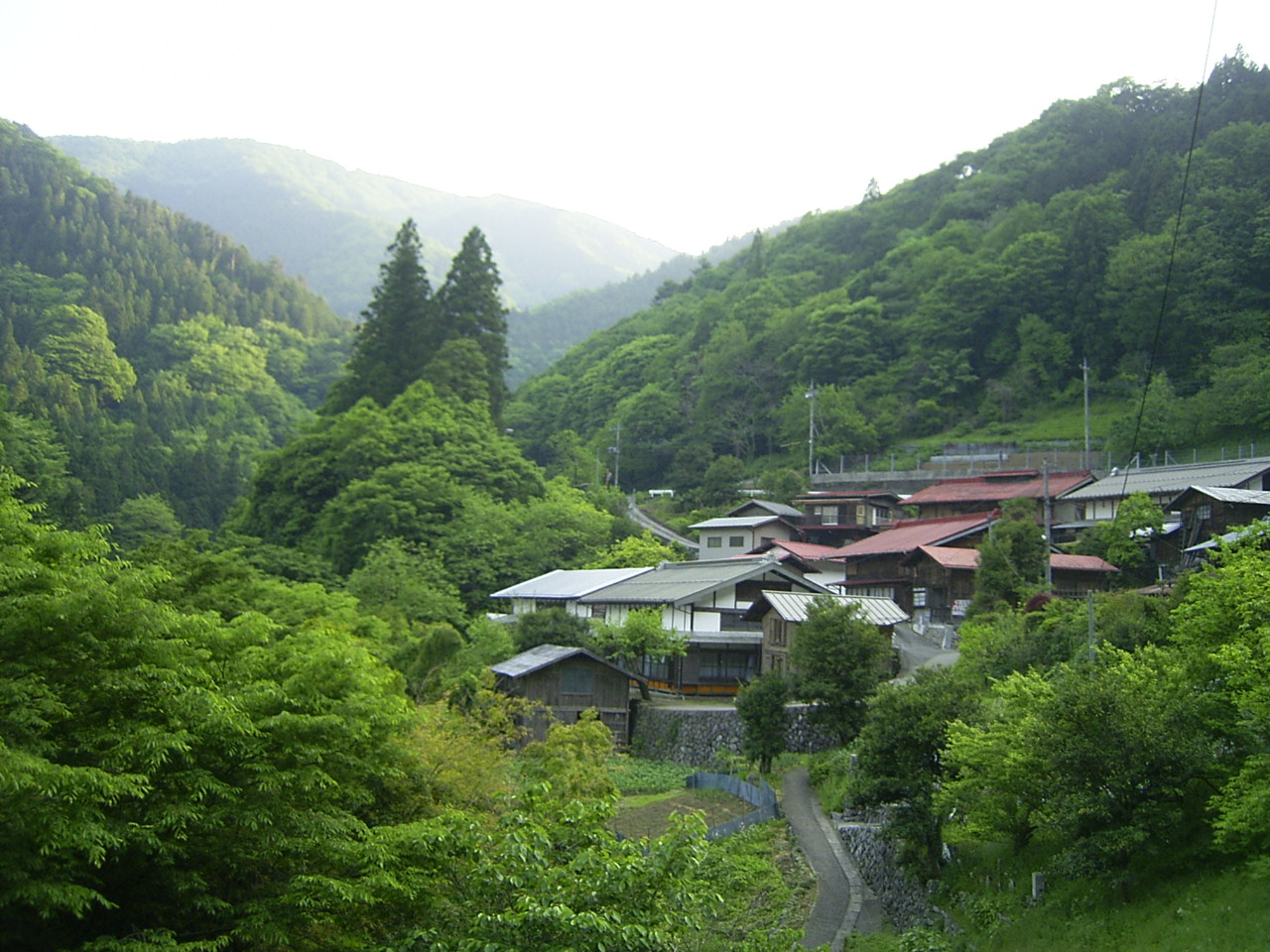 山女魚と戯れる。_d0117565_22333016.jpg