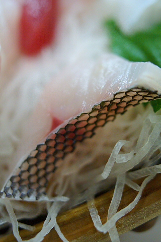 オキナワ補完計画　沖縄の魚を食べる_d0090874_2121166.jpg