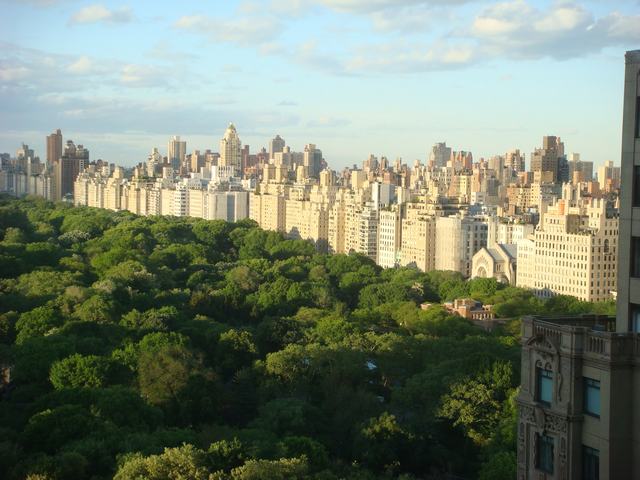 d0100880_0362411.jpg