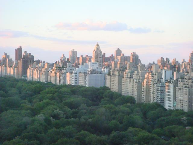 d0100880_037596.jpg