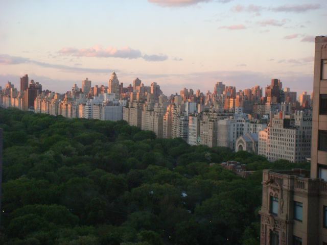 d0100880_0392990.jpg
