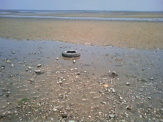 e0055980_22442372.jpg