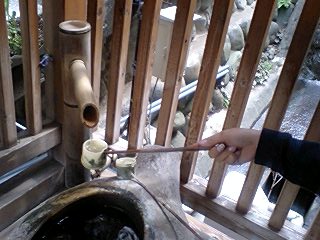 四万の温泉、一万のコーヒー_e0039787_045843.jpg