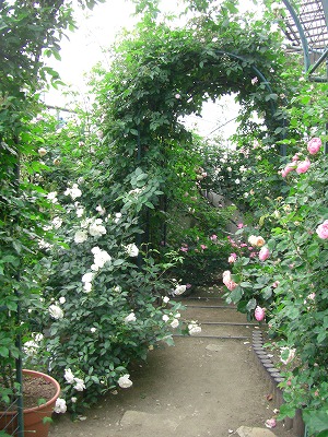 c0125501_104053.jpg
