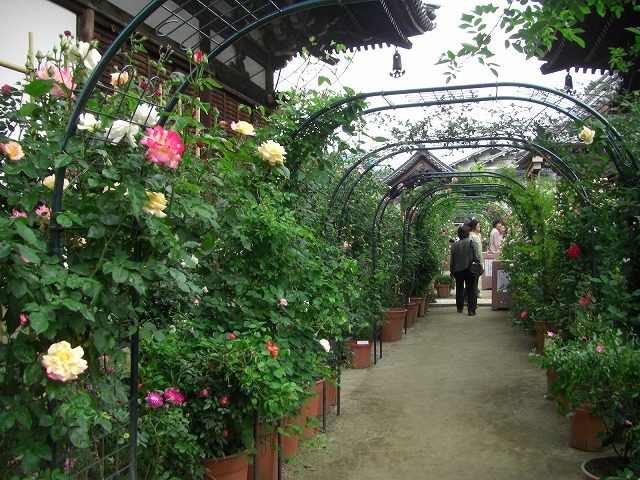 c0125501_9292163.jpg