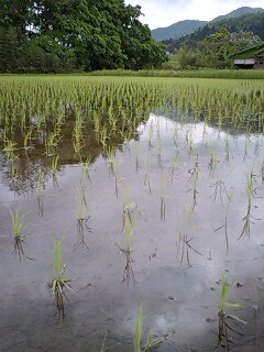 d0093903_0521591.jpg