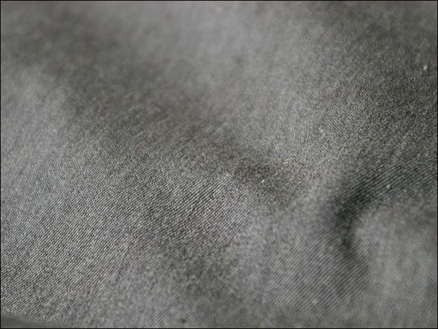 f0051306_1459887.jpg