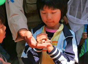 ５月の生き物Ｃｈｅｃｋ！　生き物巣づくり_b0126307_2113926.gif