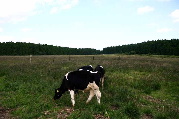 d0149411_2285353.jpg