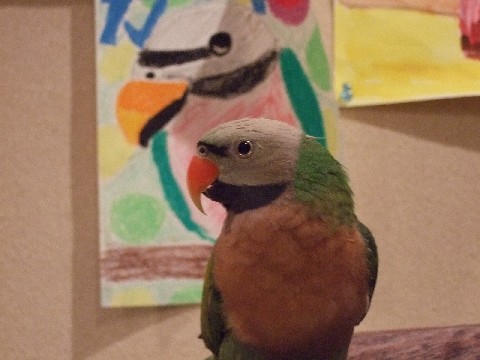 c0133013_10491076.jpg