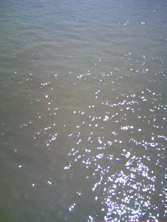 b0139650_048541.jpg