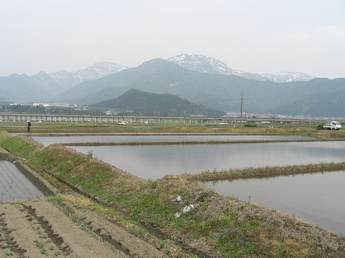 田植え前の八海山_a0084753_16392687.jpg