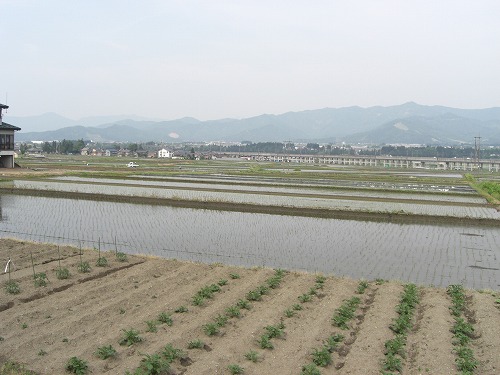 田植え前の八海山_a0084753_16394047.jpg