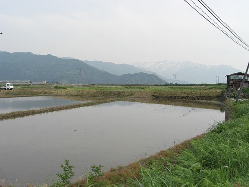 田植え前の八海山_a0084753_1639503.jpg