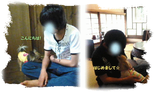 e0088654_21142491.gif