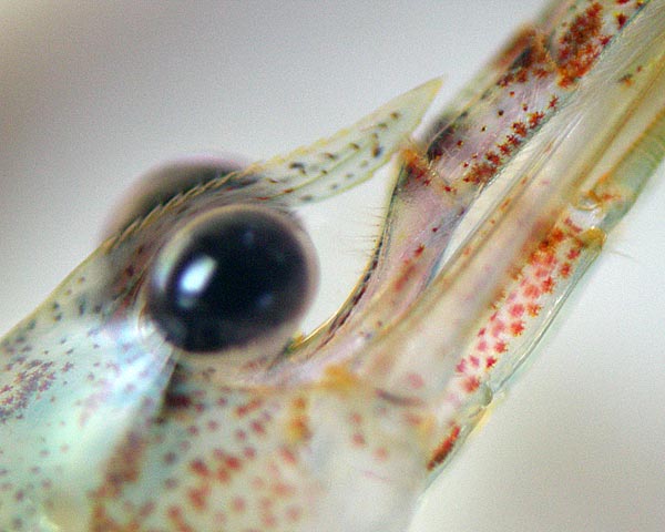 e0035757_23301555.jpg