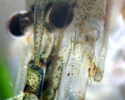 e0035757_23303585.jpg