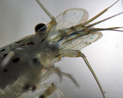 e0035757_23311159.jpg
