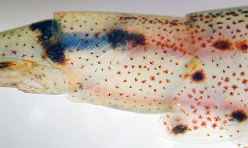 e0035757_23312190.jpg