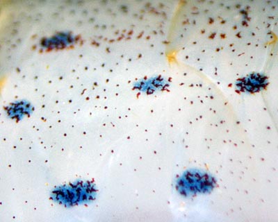 e0035757_2331308.jpg