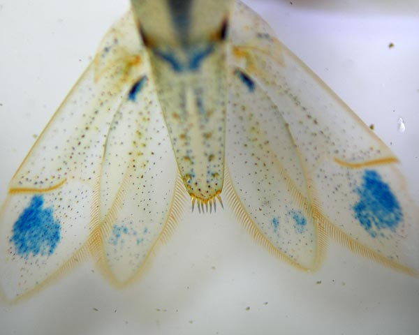 e0035757_23314133.jpg