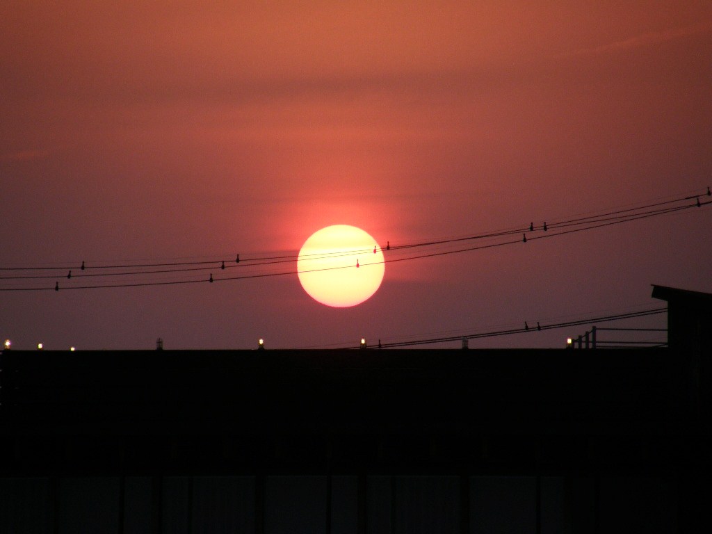 e0064158_111357.jpg