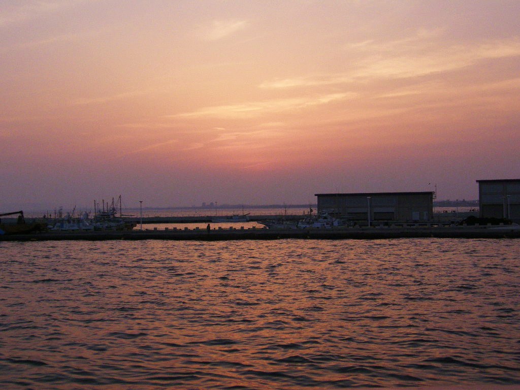 e0064158_175862.jpg