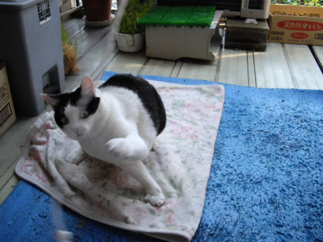 少し、からだ、動かさなきゃ~_d0116059_12385083.jpg