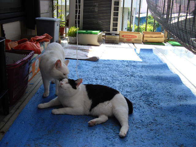 少し、からだ、動かさなきゃ~_d0116059_12412873.jpg