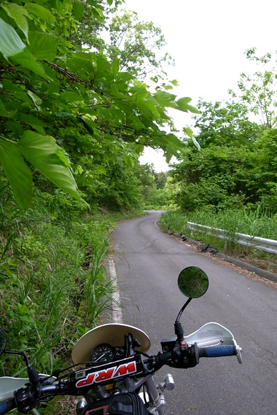 a0083760_834545.jpg