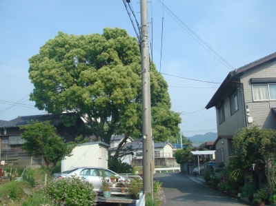 c0108460_04751.jpg