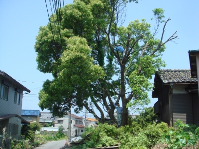 c0108460_048612.jpg