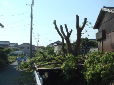 c0108460_0494321.jpg