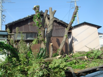 c0108460_050075.jpg