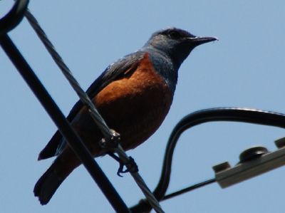 c0108460_0512024.jpg