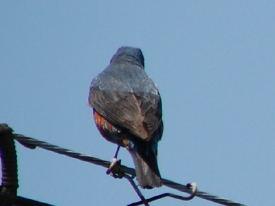 c0108460_0514511.jpg