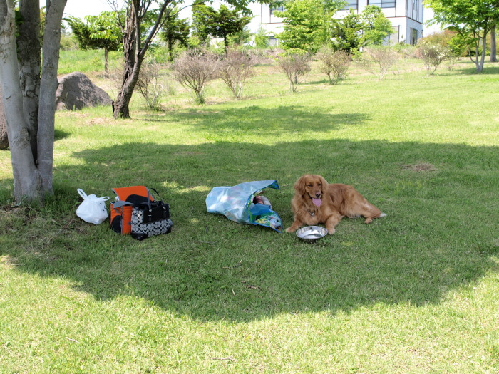 海野宿～明神館へ_c0134064_1120479.jpg